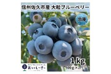 長野県産 冷凍ブルーベリー 約1kg （500g×2袋） ＜2025年7～12月出荷／沖縄・離島は配送不可＞ 信州 フルーツ 果物 完熟 大粒 甘い ブルーベリー 数量限定 旬彩