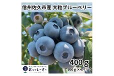 長野県産 生ブルーベリー 約400g （100g×4パック） ＜2025年7・8月出荷／北海道・沖縄・離島は配送不可＞ 信州 フルーツ 果物 完熟 大粒 甘い ブルーベリー 先行予約 期間限定 旬彩