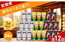 【定期便12カ月】 クラフトビール 350ml 3種24本 飲み比べセット 【水曜日のネコ クラフトザウルス ペールエール 軽井沢高原ビール 地ビール お酒 酒 長野県 佐久市 】