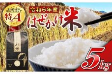 【令和6年産・白米5kg】 特A長野県産こしひかり はぜかけ（北海道・沖縄県・離島は配送不可）【 お米 精米 2024年産 産地直送 国産 信州 佐久市 美味しい 】