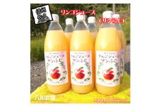 長野県産サンふじ りんごジュース 1000ml×6本 信州 果物 100%果汁(沖縄県・離島は配送不可)【当園にて愛情たっぷりに育てたりんご そのまま皮ごと絞ったストレート リンゴジュース アップルジュース 林檎 フルーツ 国産 長野県 佐久市 】