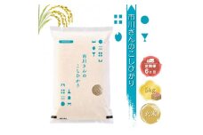 【令和7年産・玄米5kg×定期便6カ月】特別栽培米 市川さんのこしひかり  （2025年11月出荷開始予定）先行予約 新米 信州【 コシヒカリ お米 新米予約 長野県 佐久市 】