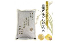 【令和6年産】生きもの田んぼのお米 市川さんのいのちの壱【玄米5kg】農薬・化学肥料・除草剤不使用 コメ 信州 希少【 米 コメ 備蓄品 備蓄米 長野県 佐久市 株式会社ゆうき 】