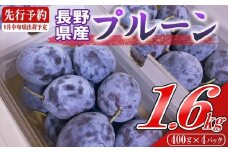 【2025年9月上旬～中旬発送】令和7年産プルーン約1.6kg（400g×4パック）＜北海道・沖縄・離島は配送不可＞　サンプルーン　果物　フルーツ　くだもの　生プルーン　プルーン栽培発祥の地　信州　長野県　佐久市　産地直送　旬　旬彩
