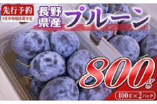 【2025年9月上旬～中旬発送】令和7年産プルーン約800g（400g×2パック）＜北海道・沖縄・離島は配送不可＞　サンプルーン　果物　フルーツ　くだもの　生プルーン　プルーン栽培発祥の地　信州　長野県　佐久市　産地直送　旬　旬彩