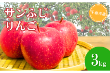 【2025年先行予約】りんご サンふじ  約3kg | 長野県産 リンゴ 林檎 アップル 蜜入り ふじ フジ さんふじ 富士 3kg 果物 くだもの フルーツ 産地直送 人気 おすすめ お取り寄せ ギフト プレゼント 贈答品 信州 長野 千曲市