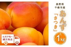 【2025年先行予約】あんず さつき(長野県オリジナル品種) 約1kg 杏子 アプリコット 長野県産 千曲市  信州