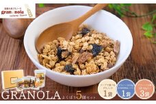 国産大麦 グラノーラ 「 gran*nola (グラン*ノーラ) 」 よくばり5個セット 果物 フルーツ 朝食 軽食 おやつ 食物繊維 国産原料 信州産 長野県 千曲市