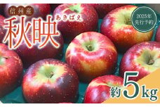 【2025年先行予約】りんご 秋映(長野県オリジナル品種) 太陽の恵みたっぷり 約5kg あきばえ 果物 フルーツ 長野県産 千曲市 信州