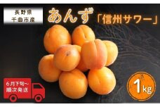 あんず 信州サワー(長野県オリジナル品種) 約1kg 杏子 アプリコット 千曲市産 長野県 信州