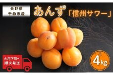 【2025年先行予約】あんず 信州サワー(長野県オリジナル品種) 約4kg 杏子 アプリコット 千曲市産 長野県 信州