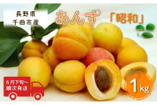 【2025年先行予約】あんず 昭和(長野県オリジナル品種) 約1kg 杏子 アプリコット 千曲市産 長野県 信州