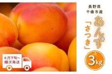 【2025年先行予約】あんず さつき(長野県オリジナル品種) 約3kg 杏子 アプリコット 千曲市産 長野県 信州