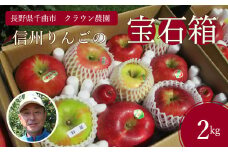 【2025年先行予約】りんご 園主におまかせ 詰合せ 計約2kg（5~8玉）りんごの宝石箱 産地直送 シナノスイート シナノゴールド 秋映 あいかの香り 群馬名月 王林 紅玉 シナノホッペ サンふじ 千曲市 長野県 信州