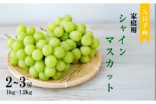 【2025年先行予約】訳あり  シャインマスカット （1~1.2kg 2~3房） ぶどう 葡萄 ブドウ 白ぶどう 家庭用 朝採り 新鮮 朝摘み 種無し 種なし 皮ごと 信州 長野県 千曲市