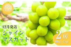 【2025年先行予約】 シャインマスカット 約900g ~ 1kg(2房) 葡萄 ブドウ 白ぶどう 種無し 種なし 皮ごと 千曲市 長野県 信州
