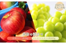 【2025年先行予約】 シャインマスカット 約500g・りんご3種詰め合わせ 計約2kg（5~8玉）セット ぶどう 葡萄 マスカット 林檎 詰合せ  果物 フルーツ 長野県産 千曲市 信州