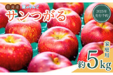 【2025年先行予約】訳あり りんご サンつがる 家庭用 約5kg 夏のりんご林檎 千曲市 長野県産 信州