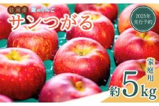 訳あり りんご サンつがる 家庭用 約5kg 夏のりんご林檎 千曲市 長野県産 信州