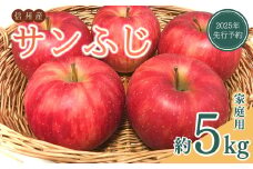 【2025年先行予約】訳あり りんご サンふじ 家庭用 約5kg ザ・王道 林檎 さんふじ サンフジ 千曲市 長野県産 信州