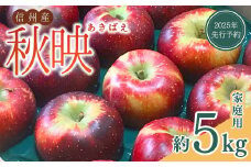 【2025年先行予約】訳あり りんご 秋映(長野県オリジナル品種) 家庭用 約5kg 太陽の恵みたっぷり 林檎 あきばえ 千曲市 長野県産 信州