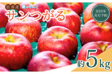【2025年先行予約】りんご サンつがる 約5kg 夏のりんご リンゴ 林檎 千曲市 長野県産 信州
