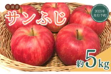 【2025年先行予約】りんご サンふじ 約5kg ザ・王道りんご 林檎 さんふじ サンフジ 千曲市 長野県産 信州
