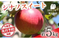 【2025年先行予約】りんご シナノスイート(長野県オリジナル品種) 約5kg 林檎 千曲市 長野県産 信州