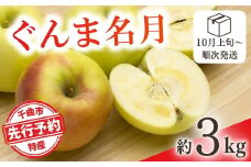 【2025年先行予約】りんご ぐんま名月 約3kg 林檎 群馬名月 ぐんまめいげつ 千曲市 長野県産 信州