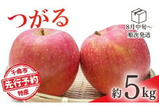【2025年先行予約】りんご つがる 約5kg 林檎 津軽 千曲市 長野県産 信州