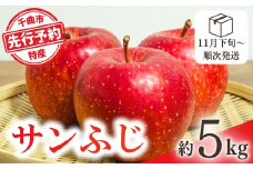 【2025年先行予約】りんご サンふじ 約5kg 林檎 千曲市 長野県産 信州