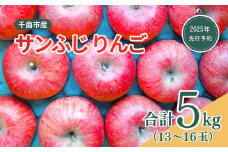 【2025年先行予約】りんご サンふじ 約5kg（13~16玉） 林檎 千曲市 長野県産 信州