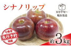 【2025年先行予約】りんご シナノリップ(長野県オリジナル品種) 約3kg 林檎  千曲市 長野県産 信州