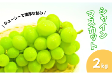 【2025年先行予約】 シャインマスカット 朝採り! 約2kg 葡萄 ブドウ 白ぶどう 種無し 種なし 皮ごと 千曲市 長野県 信州