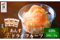 酸味とおいしさそのまま ドライ杏 (半生) 3個  ドライあんず 半生ドライフルーツ 果物 長野県産 信州 千曲市 