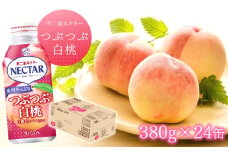 【不二家】 ネクター つぶつぶ白桃 380g×24缶 ふじや フルーツジュース 白桃ジュース 千曲市 長野県 信州