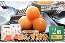 じっくり漬け込んだ「あんず狩り」2個 あんずシロップ漬け シラップ漬け 信州 長野県産 千曲市