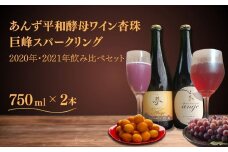 ワイン 飲み 比べ セット あんず 酵母 スパークリングワイン 飲み比べ 酵母ワイン  果実酒 信州 長野県産 千曲市