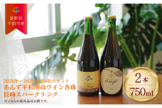 ワイン 飲み 比べ セット あんず 酵母 スパークリングワイン 飲み比べ 酵母ワイン  果実酒 信州 長野県産 千曲市