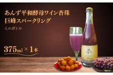 ワイン あんず 酵母 巨峰 スパークリング ミニボトル  果実酒 信州 長野県産 千曲市