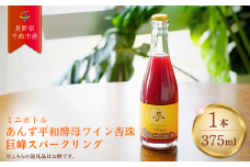 ワイン あんず 酵母 巨峰 スパークリング ミニボトル  果実酒 信州 長野県産 千曲市