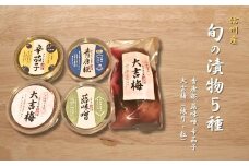 信州産 旬の漬物 青唐糀 蕗味噌 大吉梅(練り・粒)の５種詰め合わせ つけもの ふき味噌 漬け物 ご飯のお供 信州 長野県 千曲市
