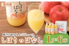 信州産 りんごジュース 「しぼりっぱなし」 ストレート果汁100％ (1L×6本) ストレートジュース 千曲市 長野県 信州