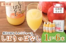 【定期便6ヶ月】信州産 りんごジュース 「しぼりっぱなし」 ストレート果汁100％ (1L×6本) フルーツジュース ストレートジュース 千曲市 長野県 信州