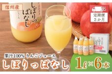 【定期便3ヶ月】信州産 りんごジュース 「しぼりっぱなし」 ストレート果汁100％ (1L×6本) フルーツジュース ストレートジュース 千曲市 長野県 信州