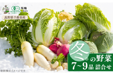 信州ありさんファーム 旬の野菜 7~9品 冬版 【有機JAS認証】 冬野菜 詰め合わせ セット 有機栽培 オーガニック 信州 特産品 千曲市 長野県