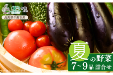 信州ありさんファーム 旬の野菜 7~9品 夏版 【有機JAS認証】 夏野菜 詰め合わせ セット 有機栽培 オーガニック 信州 特産品 千曲市 長野県