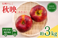【2025年先行予約】りんご 秋映(長野県オリジナル品種) 約3kg あきばえ 千曲市 長野県産 信州
