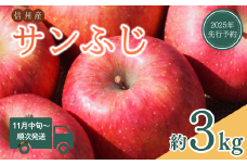 【2025年先行予約】りんご サンふじ 約3kg 林檎 リンゴ 千曲市 長野県産 信州