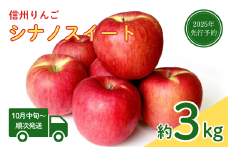 【2025年先行予約】りんご シナノスイート(長野県オリジナル品種) 約3kg 林檎 フルーツ 果物 長野県 千曲市 信州